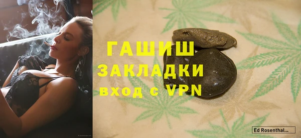 стаф Алзамай