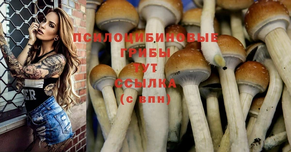 MDMA Алексин