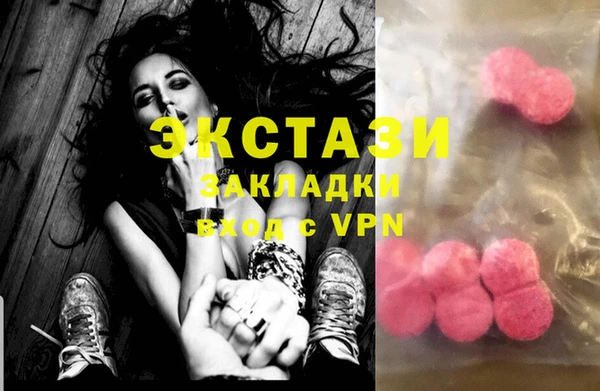 стаф Алзамай