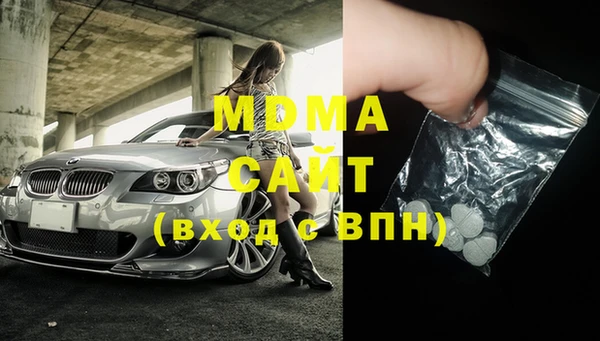стаф Алзамай