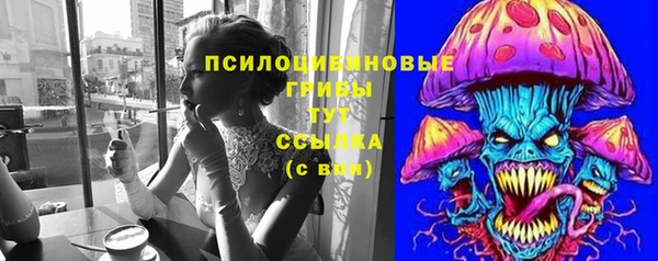 прущий лед Алексеевка