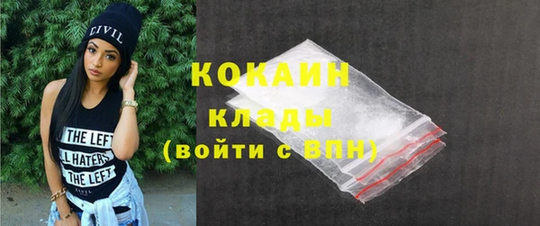 стаф Алзамай