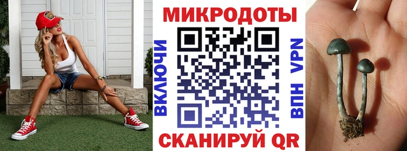 Галлюциногенные грибы прущие грибы  где найти наркотики  Заволжск 